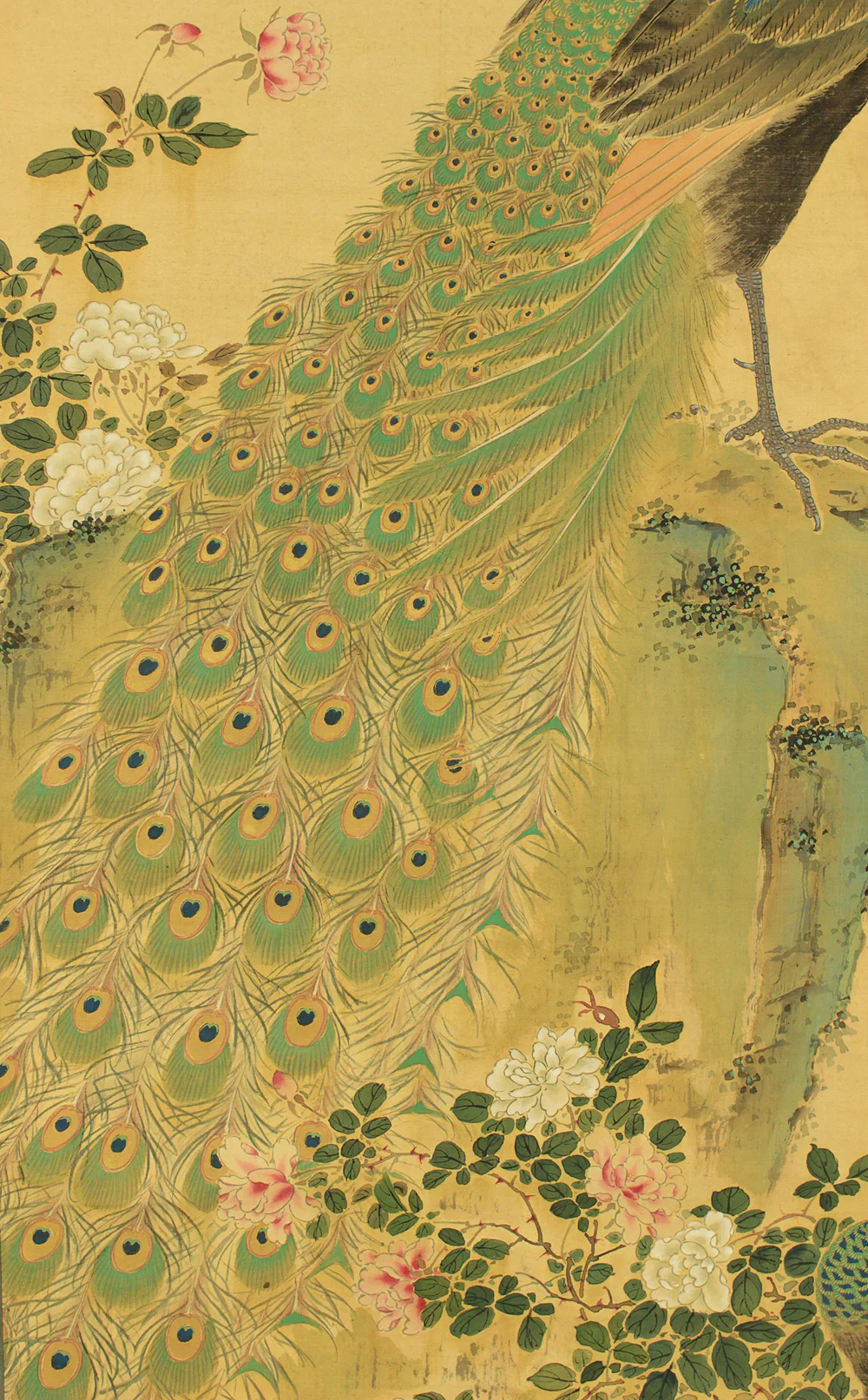 小室翠雲 Komuro Suiun (1874-1945) Japanese art Large kakejiku kakemono wall hanging scroll / Pair of Peacock on Rock with Appraised Box RD755 - Image 11