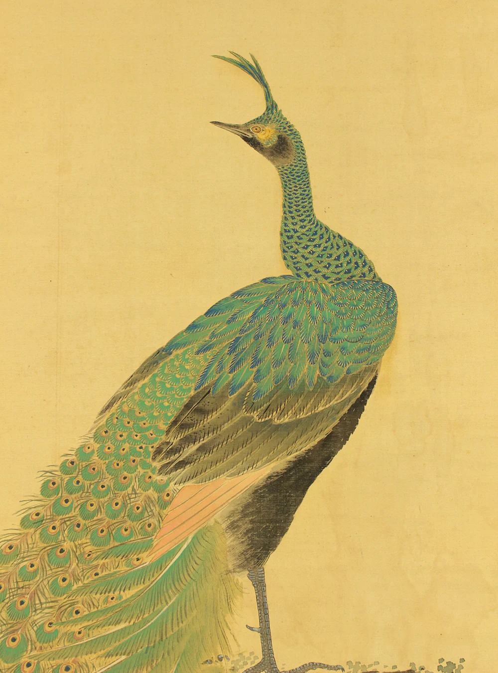 小室翠雲 Komuro Suiun (1874-1945) Japanese art Large kakejiku kakemono wall hanging scroll / Pair of Peacock on Rock with Appraised Box RD755 - Image 5