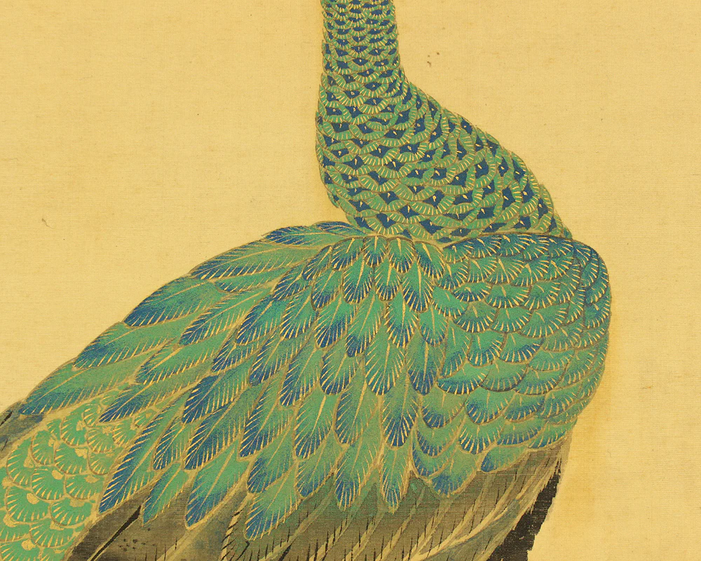 小室翠雲 Komuro Suiun (1874-1945) Japanese art Large kakejiku kakemono wall hanging scroll / Pair of Peacock on Rock with Appraised Box RD755 - Image 7