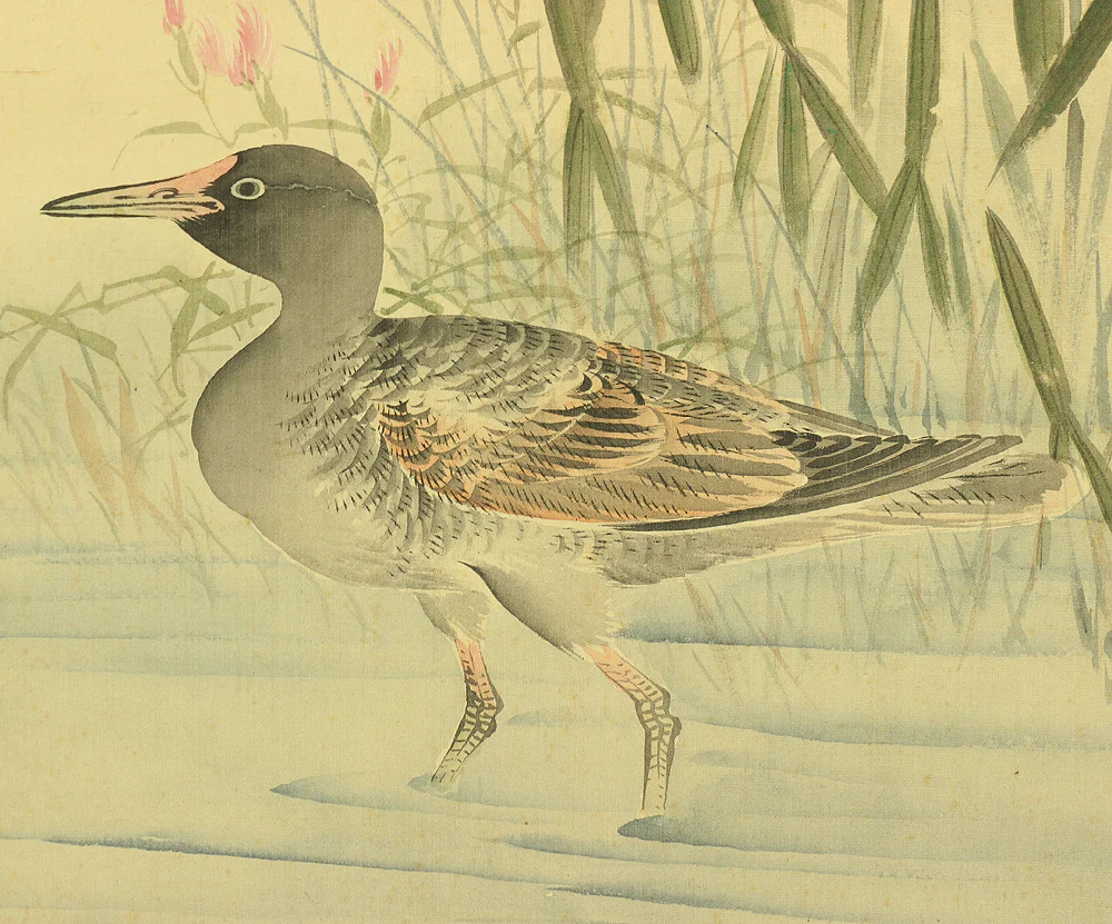 幸野楳嶺 Kono Bairei (1844-1895) Japanese antique kakejiku kakemono hanging scroll / Waterfowl, Dianthus, and Aquatic Plants with Appraised Double Box by Kono Seiko 幸野西湖 (1881-1945) RA717 - Image 11