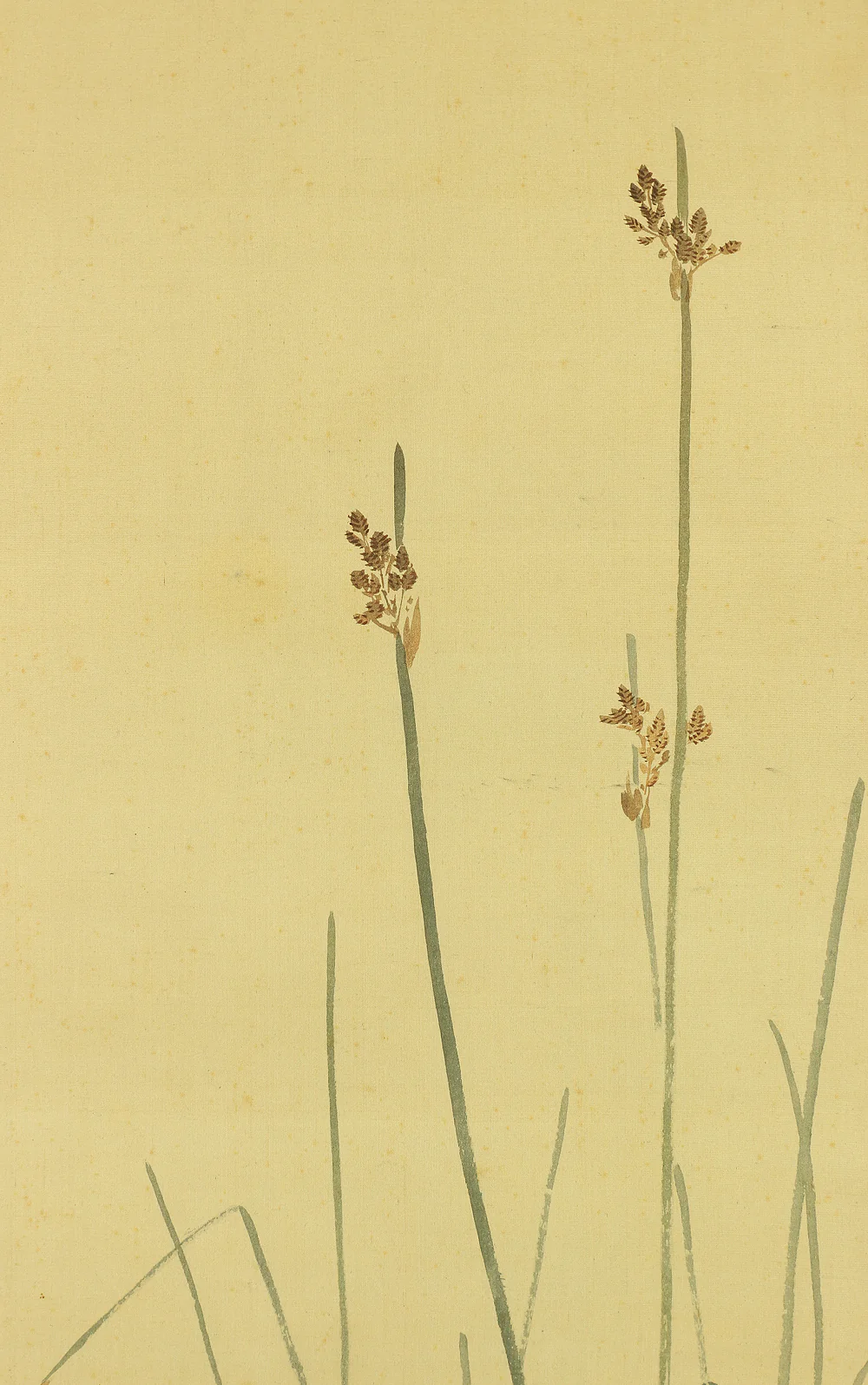 幸野楳嶺 Kono Bairei (1844-1895) Japanese antique kakejiku kakemono hanging scroll / Waterfowl, Dianthus, and Aquatic Plants with Appraised Double Box by Kono Seiko 幸野西湖 (1881-1945) RA717 - Image 6