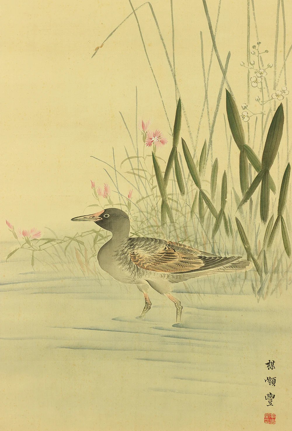 幸野楳嶺 Kono Bairei (1844-1895) Japanese antique kakejiku kakemono hanging scroll / Waterfowl, Dianthus, and Aquatic Plants with Appraised Double Box by Kono Seiko 幸野西湖 (1881-1945) RA717 - Image 8
