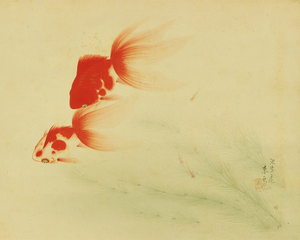 小坂素泉 Kosaka Sosen Japanese art kakejiku kakemono wall hanging scroll / Two red goldfish & small fish W293 - Image 4