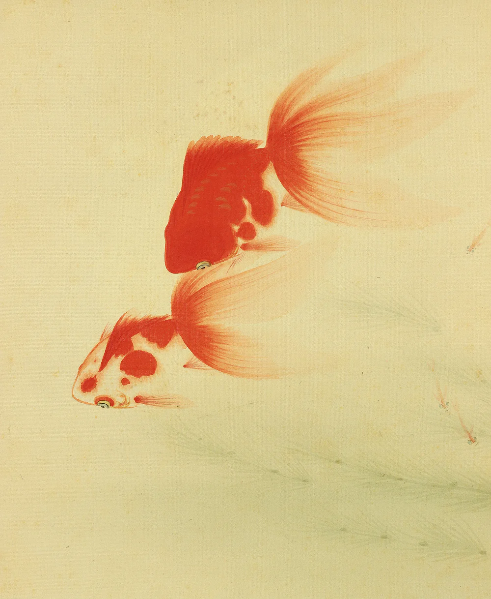 小坂素泉 Kosaka Sosen Japanese art kakejiku kakemono wall hanging scroll / Two red goldfish & small fish W293 - Image 6