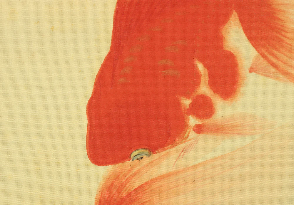 小坂素泉 Kosaka Sosen Japanese art kakejiku kakemono wall hanging scroll / Two red goldfish & small fish W293 - Image 7