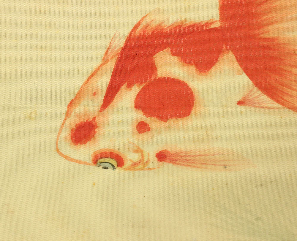小坂素泉 Kosaka Sosen Japanese art kakejiku kakemono wall hanging scroll / Two red goldfish & small fish W293 - Image 8