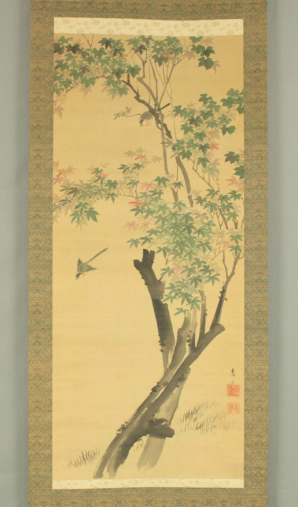 熊谷直彦 Kumagai Naohiko (1829-1913) Japanese art kakejiku kakemono wall hanging scroll / Colored Maples and Two Little Birds with Box RD326