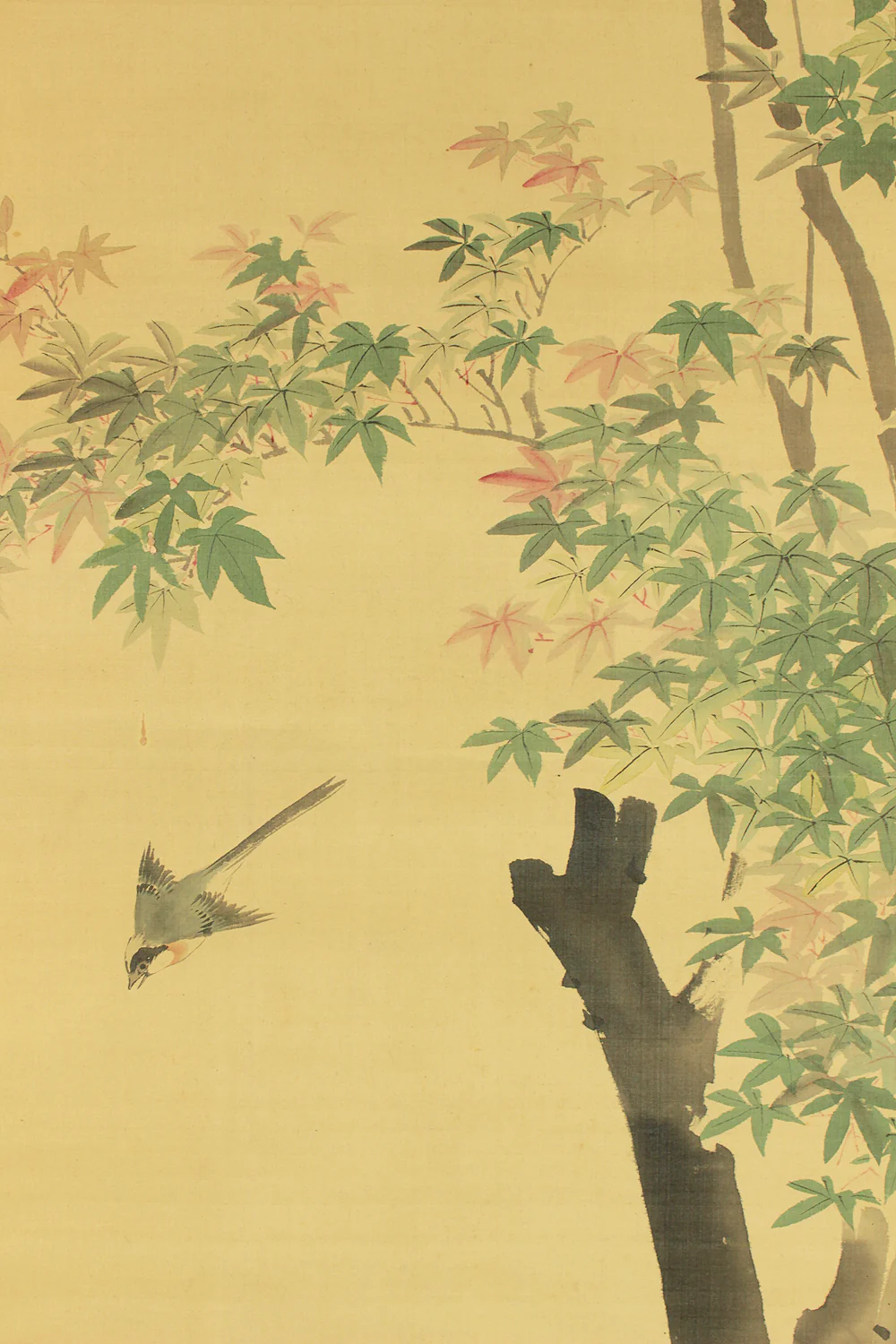 熊谷直彦 Kumagai Naohiko (1829-1913) Japanese art kakejiku kakemono wall hanging scroll / Colored Maples and Two Little Birds with Box RD326 - Image 10