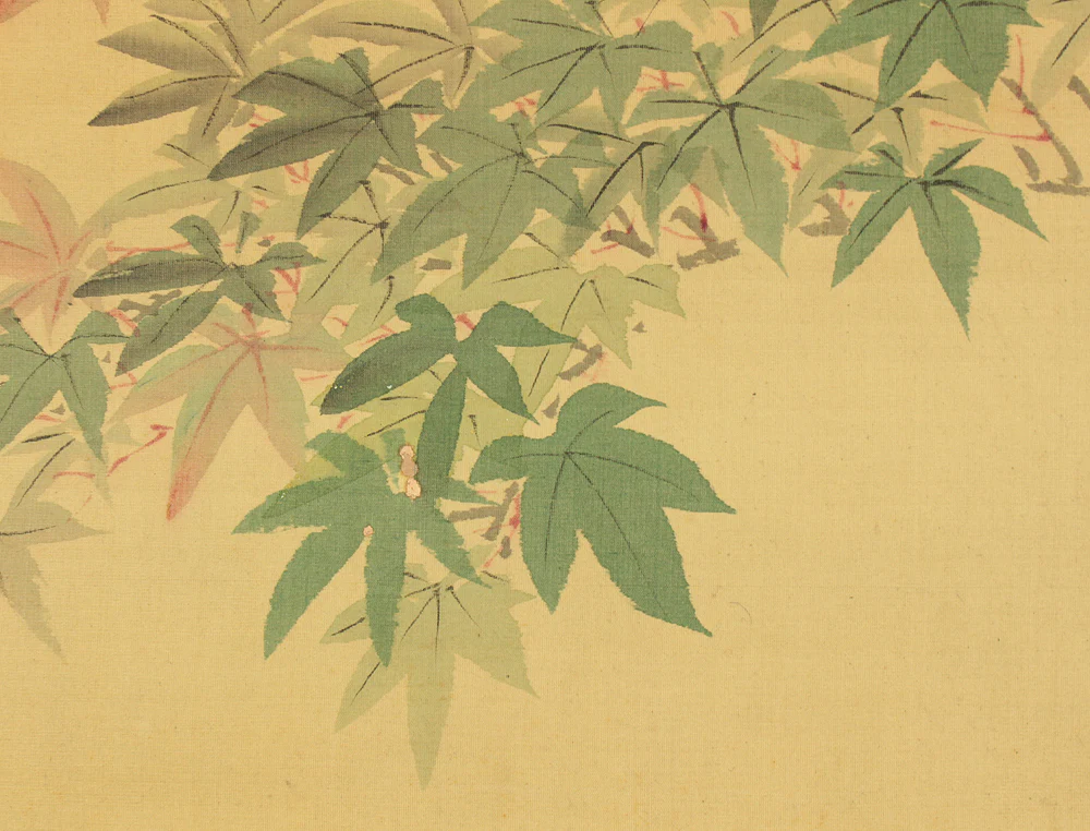 熊谷直彦 Kumagai Naohiko (1829-1913) Japanese art kakejiku kakemono wall hanging scroll / Colored Maples and Two Little Birds with Box RD326 - Image 12