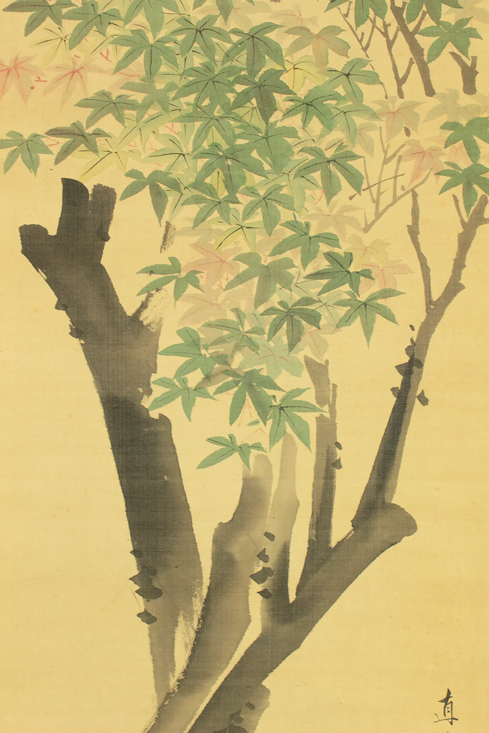 熊谷直彦 Kumagai Naohiko (1829-1913) Japanese art kakejiku kakemono wall hanging scroll / Colored Maples and Two Little Birds with Box RD326 - Image 14