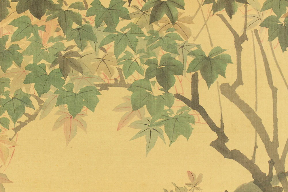 熊谷直彦 Kumagai Naohiko (1829-1913) Japanese art kakejiku kakemono wall hanging scroll / Colored Maples and Two Little Birds with Box RD326 - Image 6
