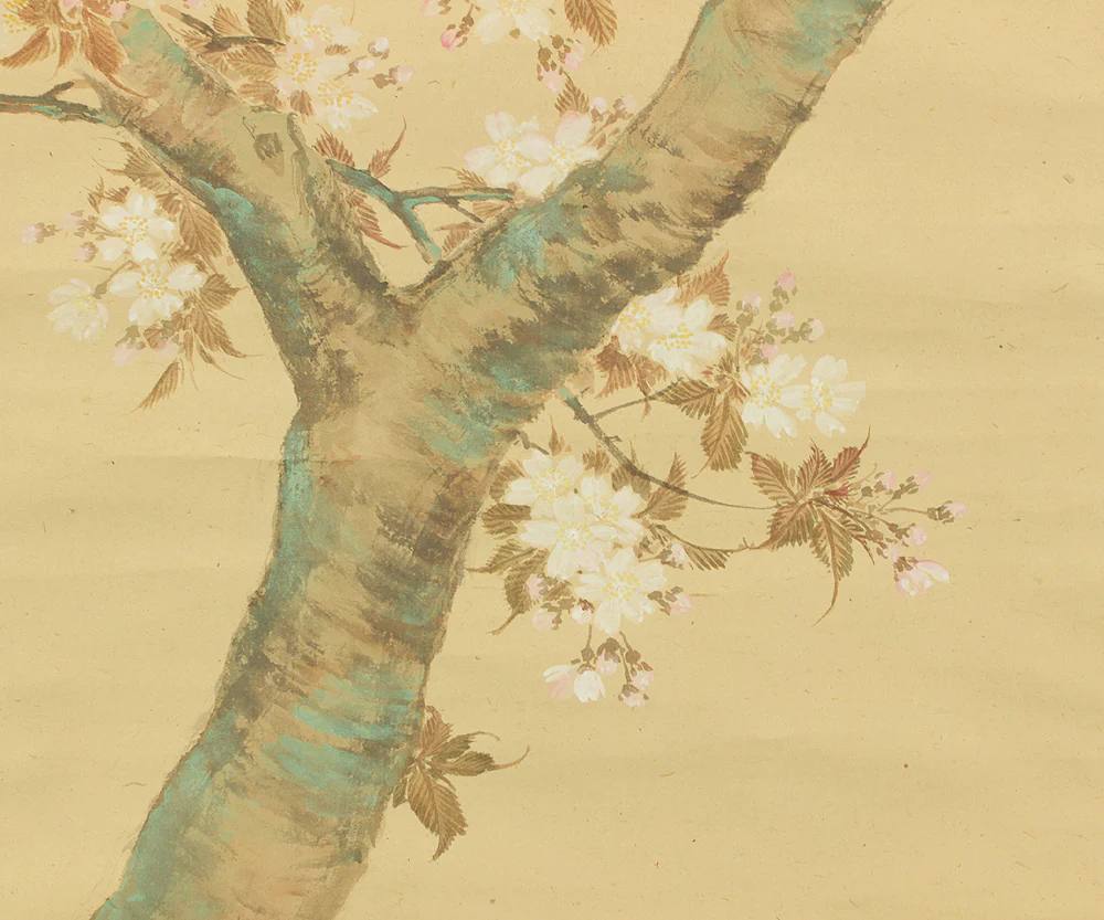 前川文嶺 Maekawa Bunrei (1837-1917) 織田旦斎 Oda Tansai (1879-1966) Japanese antique art Paired kakejiku kakemono wall hanging scrolls / Sun and Moon, Cherry Blossoms, Autumn Grasses with Original Box (Tomobako) RC755 - Image 9