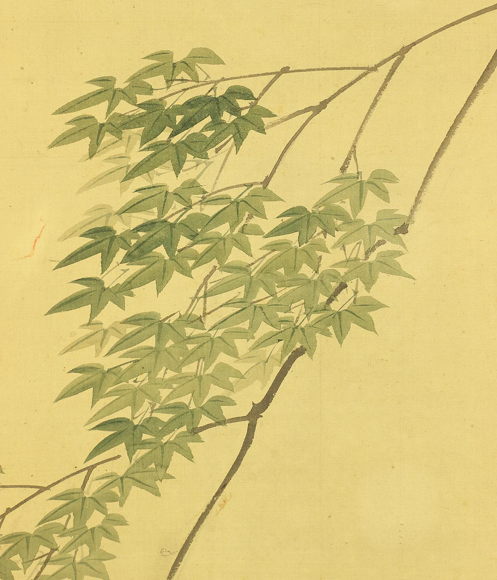 前川文嶺 Maekawa Bunrei (1837-1917) Japanese antique art kakejiku kakemono wall hanging scroll / Waterfall and Maple Tree in Summer A435 - Image 9