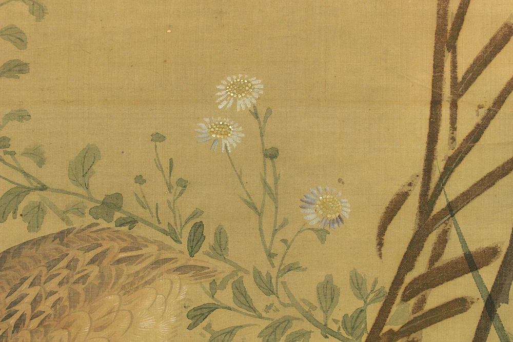 円山応挙 Maruyama Okyo (1733-1795) Japanese antique art kakejiku kakemono wall hanging scroll / Quail, Chrysanthemums and Silver Grass with Appraised Box RD483 - Image 12