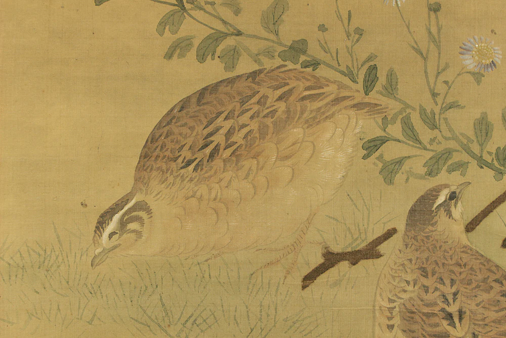円山応挙 Maruyama Okyo (1733-1795) Japanese antique art kakejiku kakemono wall hanging scroll / Quail, Chrysanthemums and Silver Grass with Appraised Box RD483 - Image 13