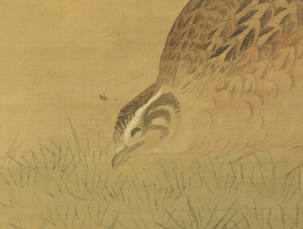 円山応挙 Maruyama Okyo (1733-1795) Japanese antique art kakejiku kakemono wall hanging scroll / Quail, Chrysanthemums and Silver Grass with Appraised Box RD483 - Image 14