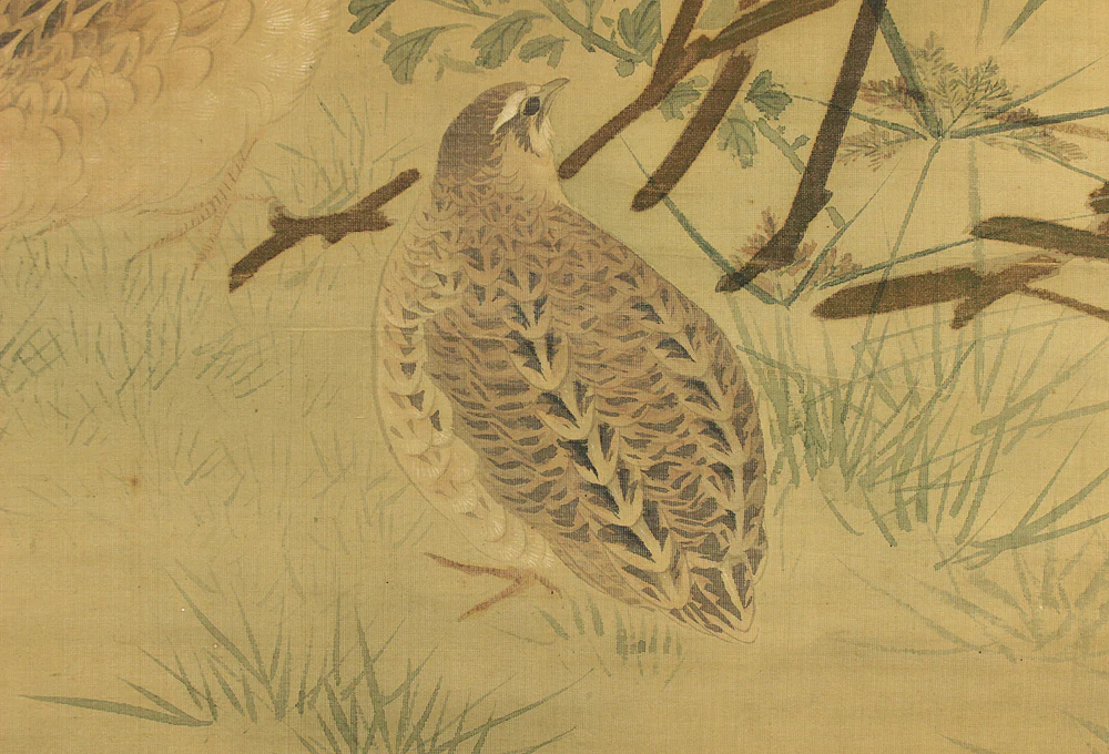 円山応挙 Maruyama Okyo (1733-1795) Japanese antique art kakejiku kakemono wall hanging scroll / Quail, Chrysanthemums and Silver Grass with Appraised Box RD483 - Image 15