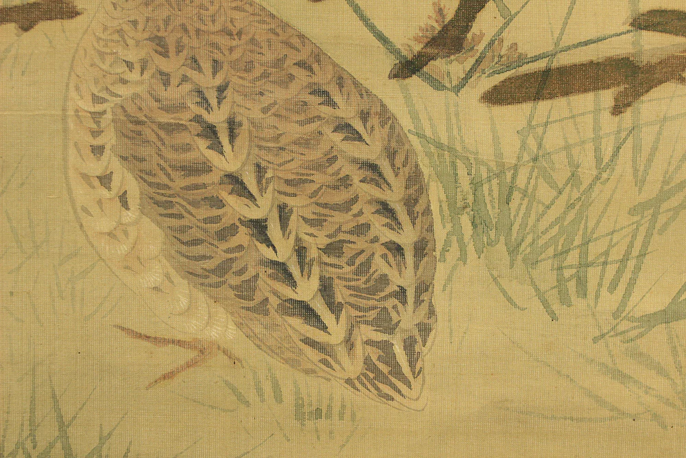 円山応挙 Maruyama Okyo (1733-1795) Japanese antique art kakejiku kakemono wall hanging scroll / Quail, Chrysanthemums and Silver Grass with Appraised Box RD483 - Image 17