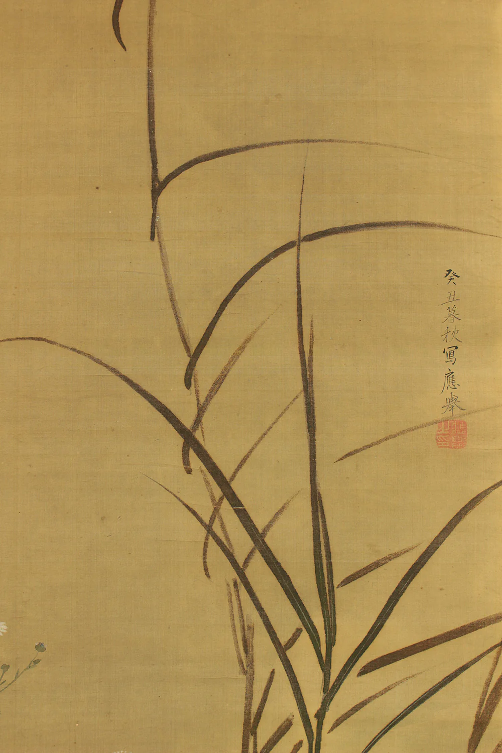 円山応挙 Maruyama Okyo (1733-1795) Japanese antique art kakejiku kakemono wall hanging scroll / Quail, Chrysanthemums and Silver Grass with Appraised Box RD483 - Image 6