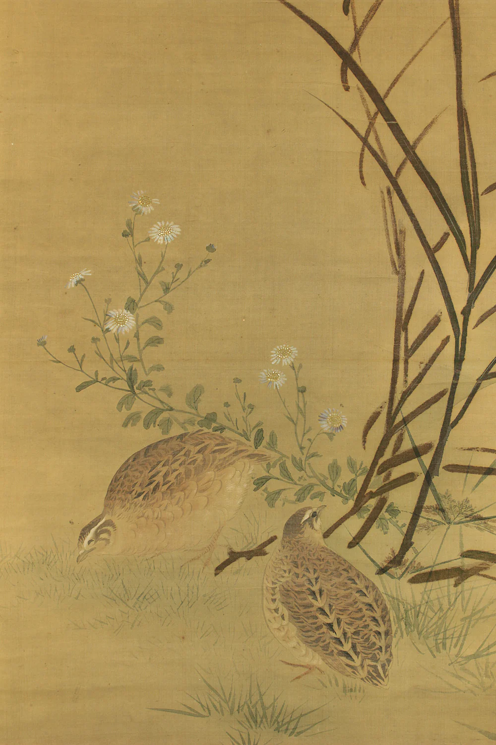 円山応挙 Maruyama Okyo (1733-1795) Japanese antique art kakejiku kakemono wall hanging scroll / Quail, Chrysanthemums and Silver Grass with Appraised Box RD483 - Image 8