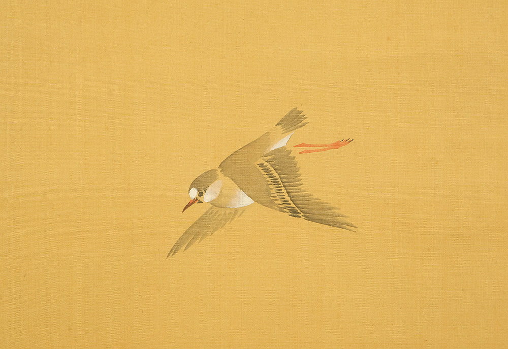 円山応挙 Maruyama Okyo (1733-1795) Japanese antique art Paired kakejiku kakemono wall hanging scrolls / Waves and Wagtail with Appraised Box RD872 - Image 7