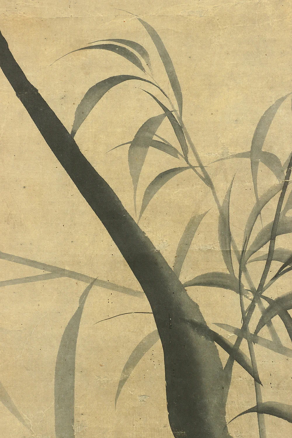 松村呉春 Matsumura Goshun (1752-1811) Japanese antique art kakejiku kakemono wall hanging scroll / Crescent Moon & Willow with Box A303 - Image 7