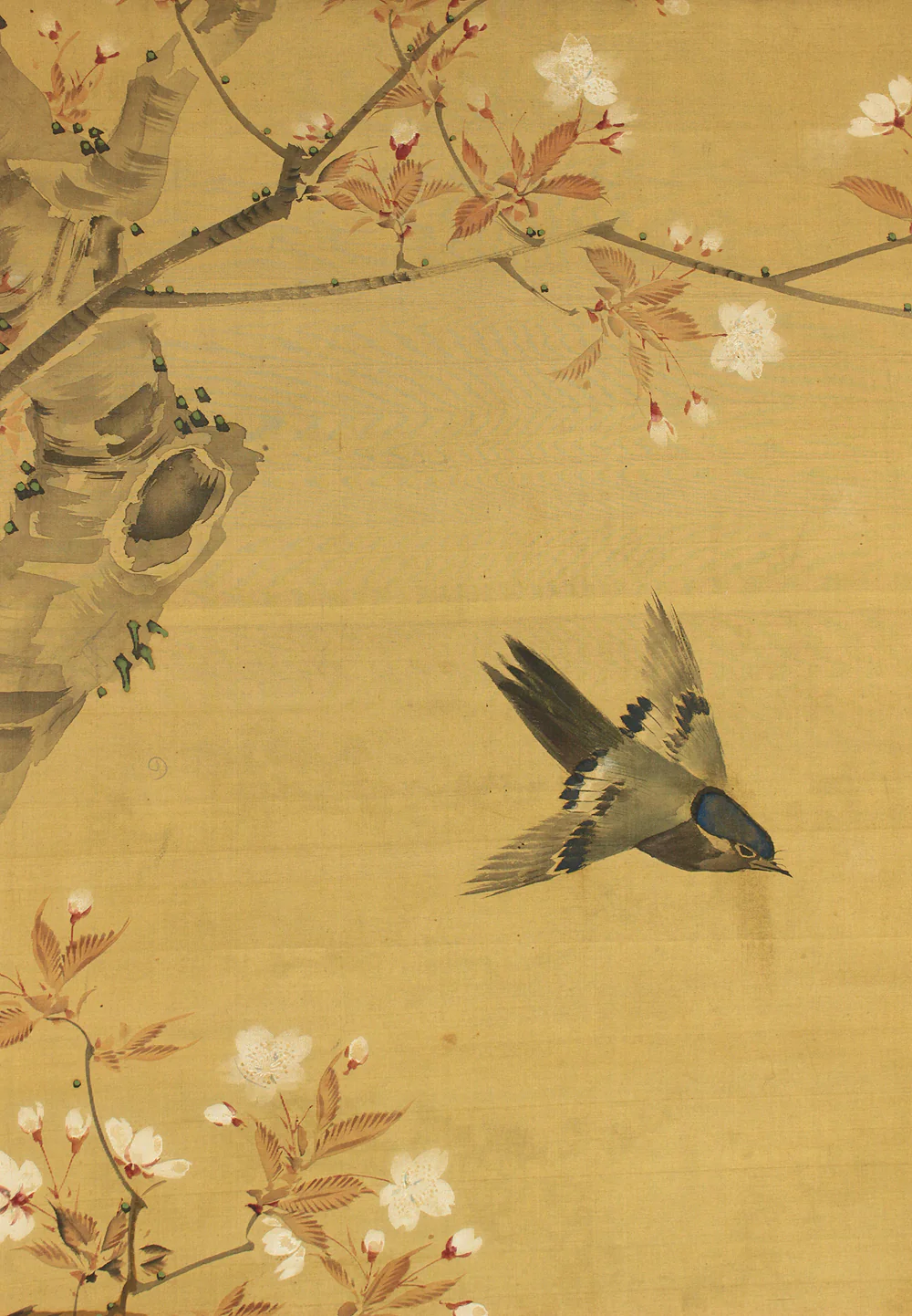 松村景文 Matsumura Keibun (1779-1843) Japanese antique art kakejiku kakemono wall hanging scroll / Cherry Blossoms and Little Bird RC764 - Image 5