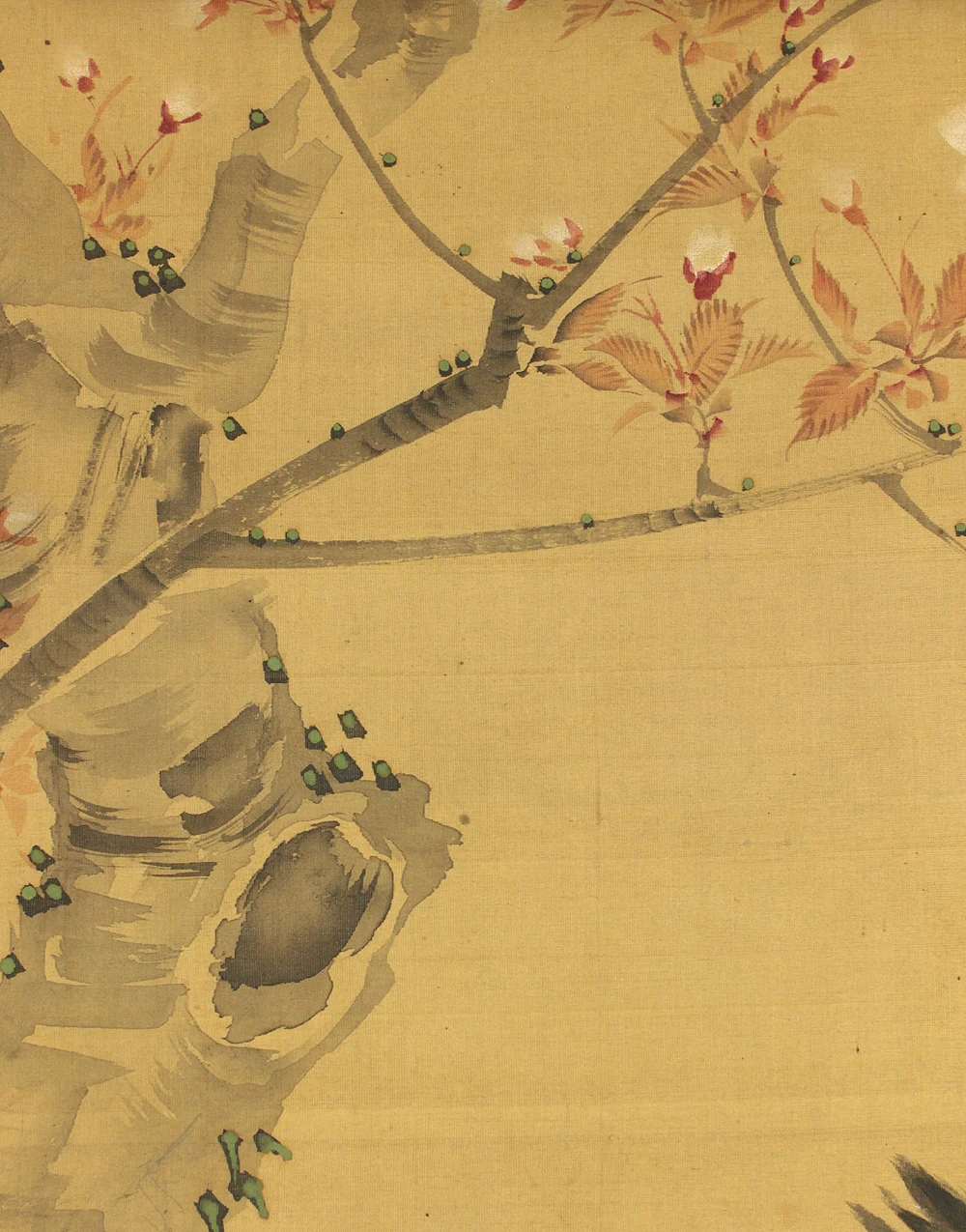 松村景文 Matsumura Keibun (1779-1843) Japanese antique art kakejiku kakemono wall hanging scroll / Cherry Blossoms and Little Bird RC764 - Image 6