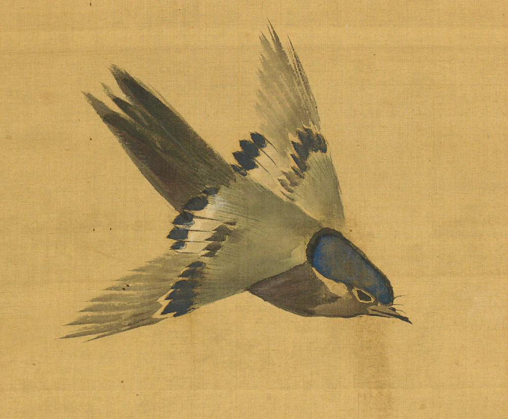 松村景文 Matsumura Keibun (1779-1843) Japanese antique art kakejiku kakemono wall hanging scroll / Cherry Blossoms and Little Bird RC764 - Image 8