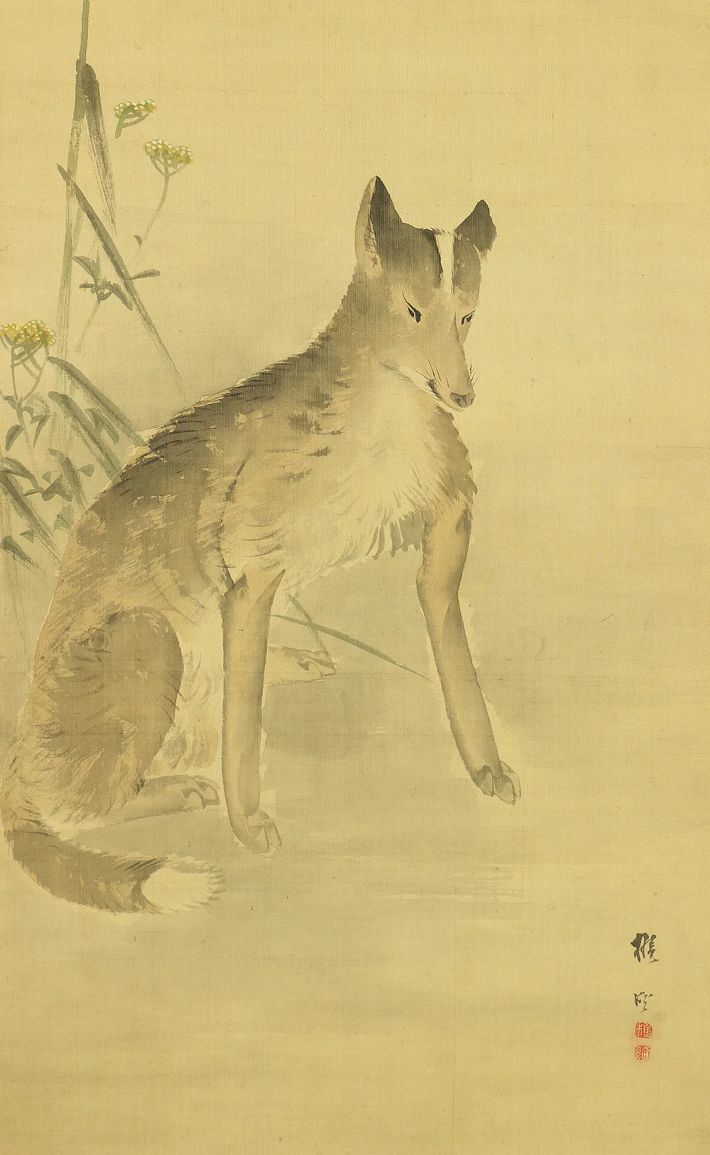松吉樵渓 MATSUYOSHI SHOKEI (?-1870) Japanese antique art kakejiku kakemono wall hanging scroll / Fox under moon with Box W237 - Image 7