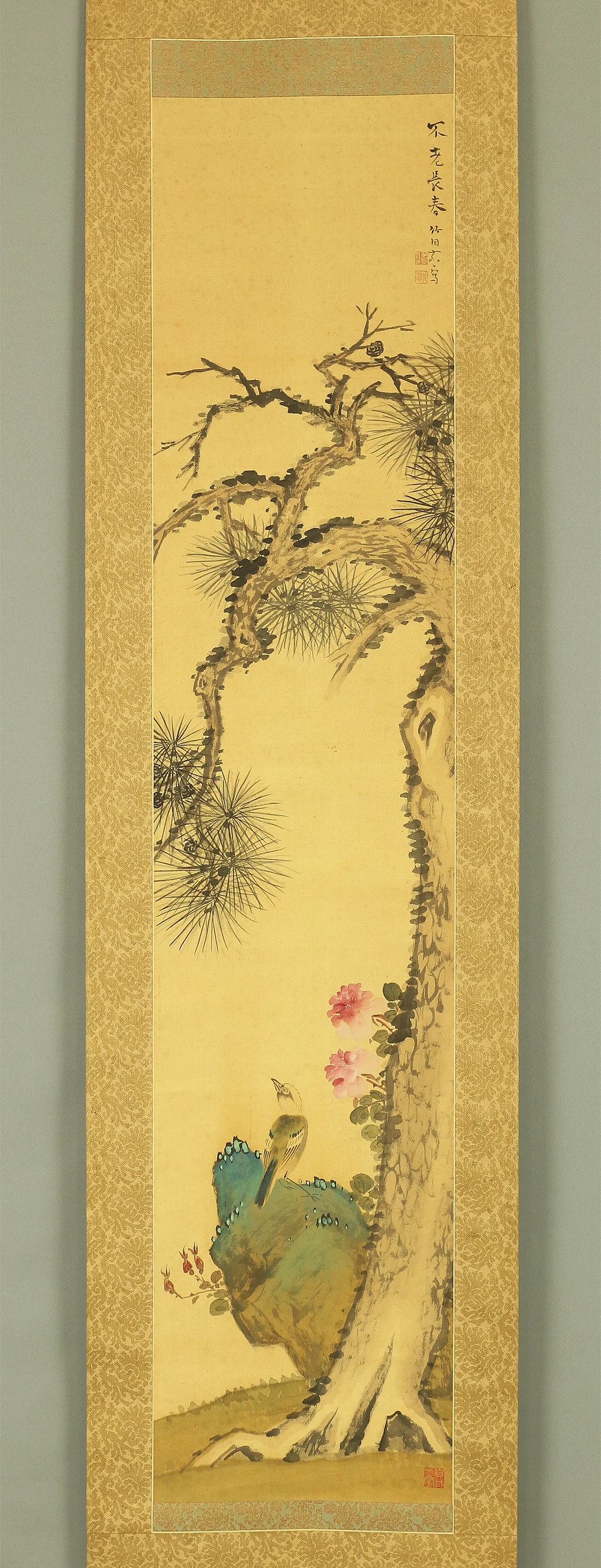 水田竹圃 MIZUTA CHIKUHO (1883-1958) Japanese art kakejiku kakemono wall hanging scroll / Bird under pine tree with Original Box / Tomobako W356 - Image 3