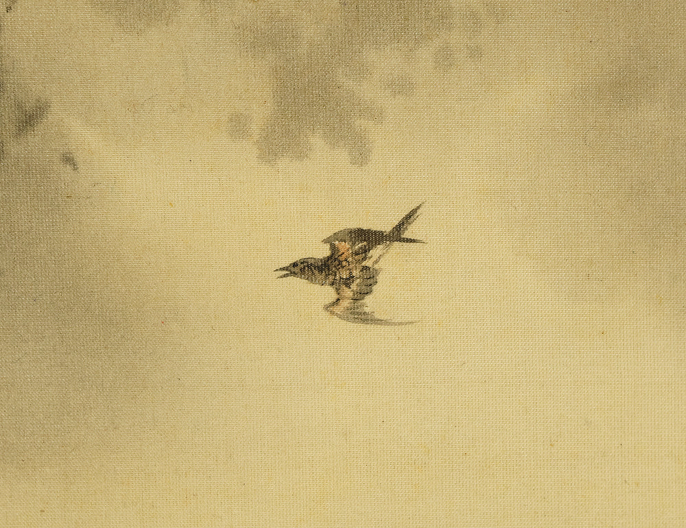 望月玉渓 Mochizuki Gyokkei (1874-1938) Japanese art kakejiku kakemono wall hanging scroll / Fan Surface - Waterfall and Cuckoo with Box RE723 - Image 6