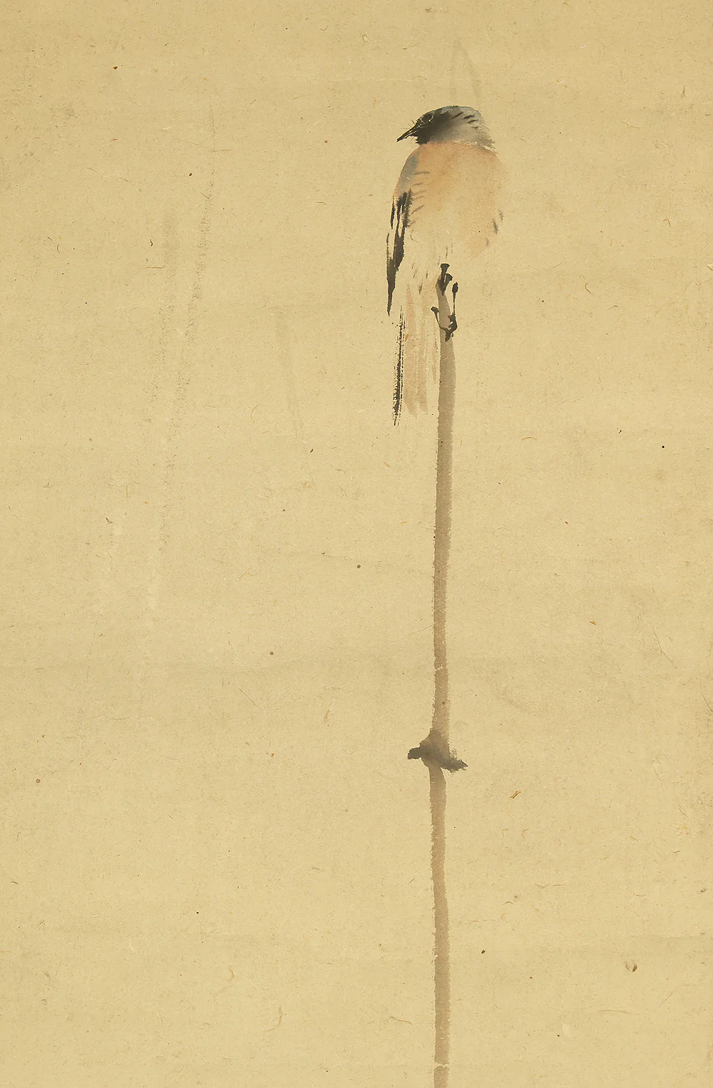 望月玉渓 Mochizuki Gyokkei (1874-1938) Japanese art kakejiku kakemono wall hanging scroll / Little Bird Perched on Plant Stake, Chrysanthemum with Box RE853 - Image 5