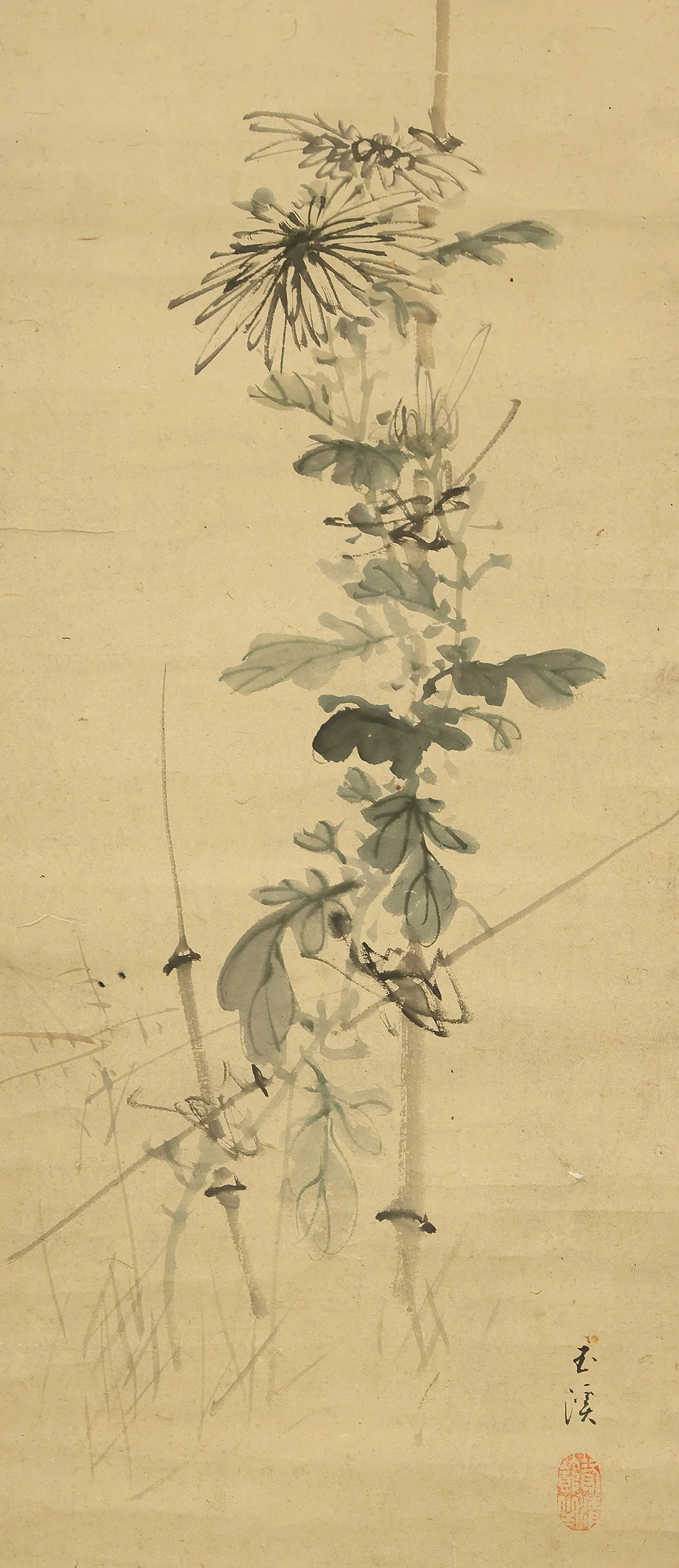 望月玉渓 Mochizuki Gyokkei (1874-1938) Japanese art kakejiku kakemono wall hanging scroll / Little Bird Perched on Plant Stake, Chrysanthemum with Box RE853 - Image 7