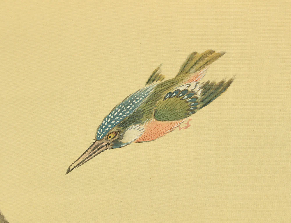 内藤天来 Naito Tenrai (1886-1978) Japanese art Kakejiku Kakemono wall Hanging Scroll / Silver Grass, Peonies, Chrysanthemums, and Kingfisher with Original Box (Tomobako) RD666 - Image 9