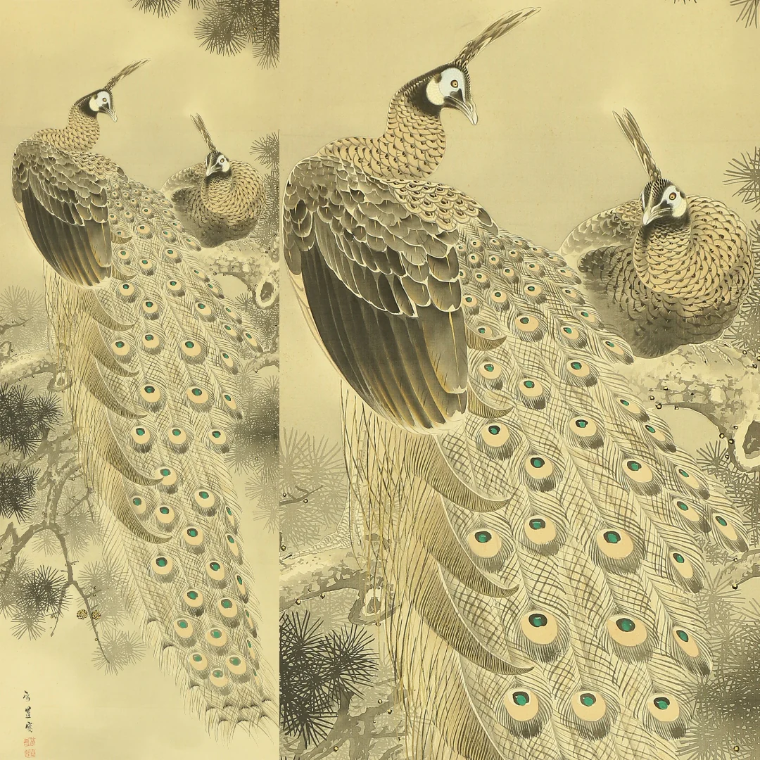 根本雪篷 Nemoto Sepou (b1878) Japanese antique art kakejiku kakemono wall hanging scroll / Two Peafowls Perching on Old Pine Tree with Orignal Box (Tomobako) RA707