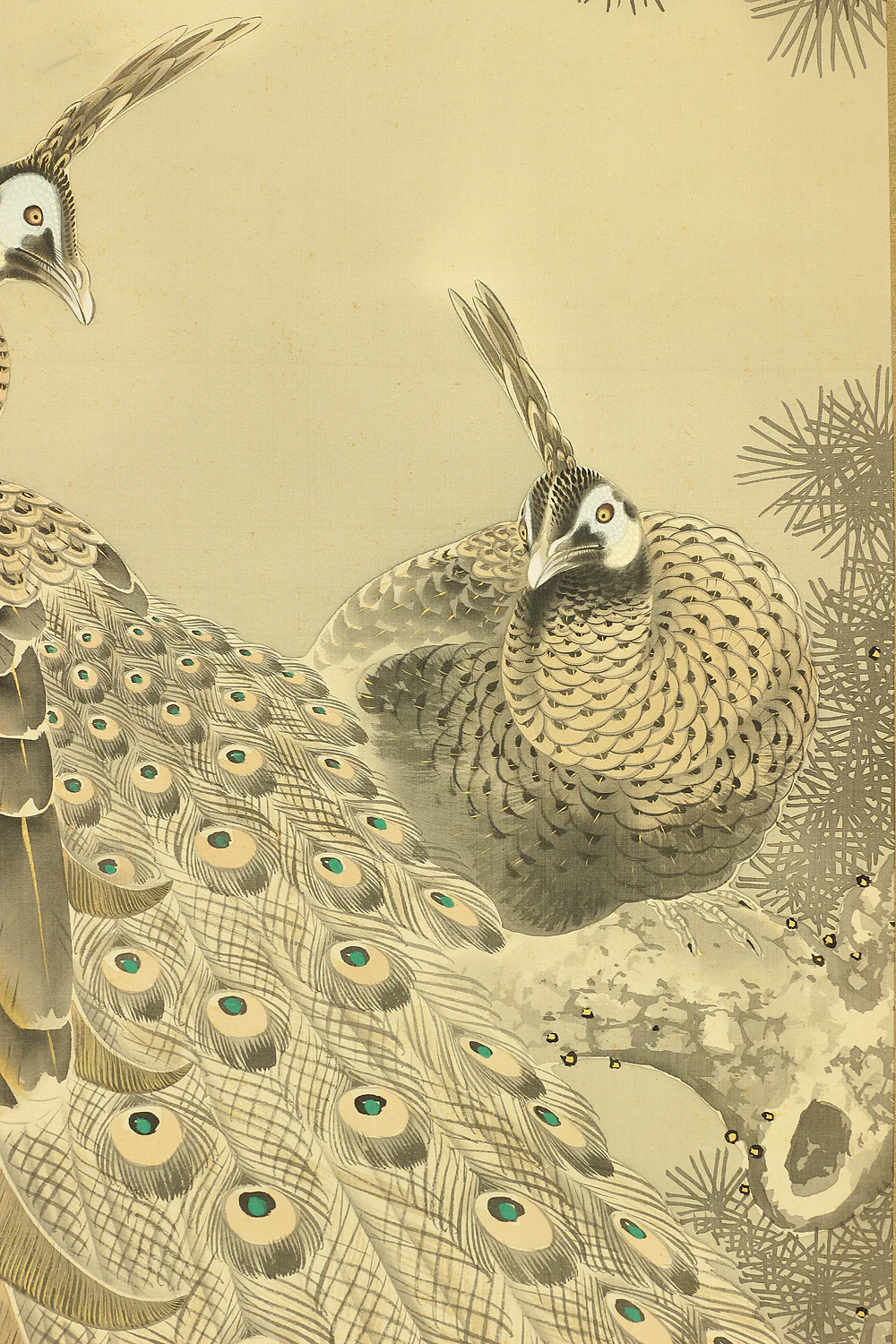 根本雪篷 Nemoto Sepou (b1878) Japanese antique art kakejiku kakemono wall hanging scroll / Two Peafowls Perching on Old Pine Tree with Orignal Box (Tomobako) RA707 - Image 10