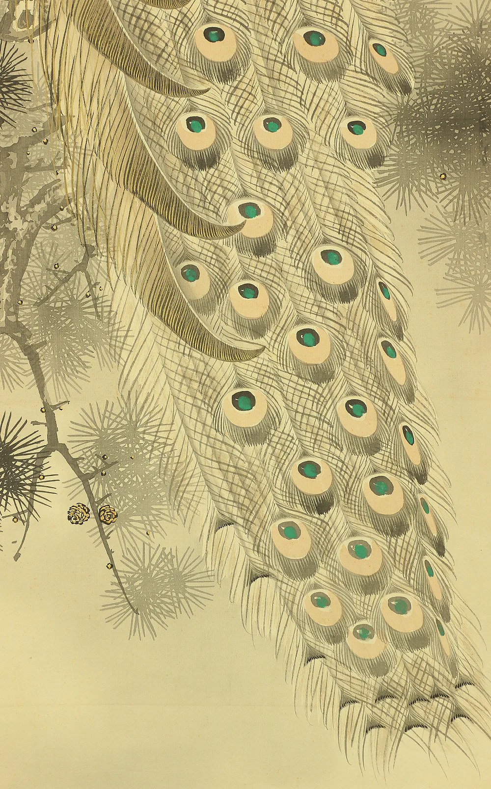 根本雪篷 Nemoto Sepou (b1878) Japanese antique art kakejiku kakemono wall hanging scroll / Two Peafowls Perching on Old Pine Tree with Orignal Box (Tomobako) RA707 - Image 12