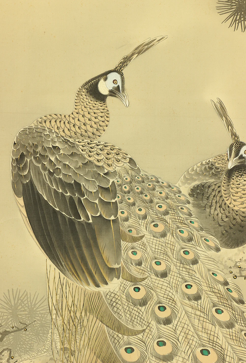 根本雪篷 Nemoto Sepou (b1878) Japanese antique art kakejiku kakemono wall hanging scroll / Two Peafowls Perching on Old Pine Tree with Orignal Box (Tomobako) RA707 - Image 6