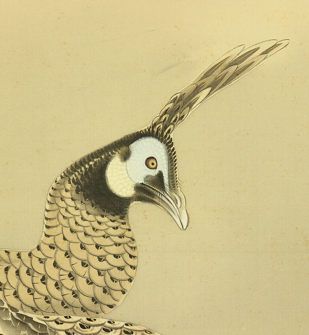 根本雪篷 Nemoto Sepou (b1878) Japanese antique art kakejiku kakemono wall hanging scroll / Two Peafowls Perching on Old Pine Tree with Orignal Box (Tomobako) RA707 - Image 7