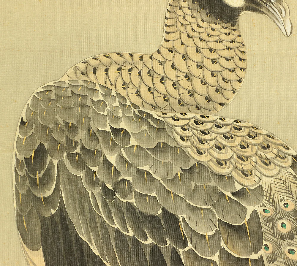 根本雪篷 Nemoto Sepou (b1878) Japanese antique art kakejiku kakemono wall hanging scroll / Two Peafowls Perching on Old Pine Tree with Orignal Box (Tomobako) RA707 - Image 8