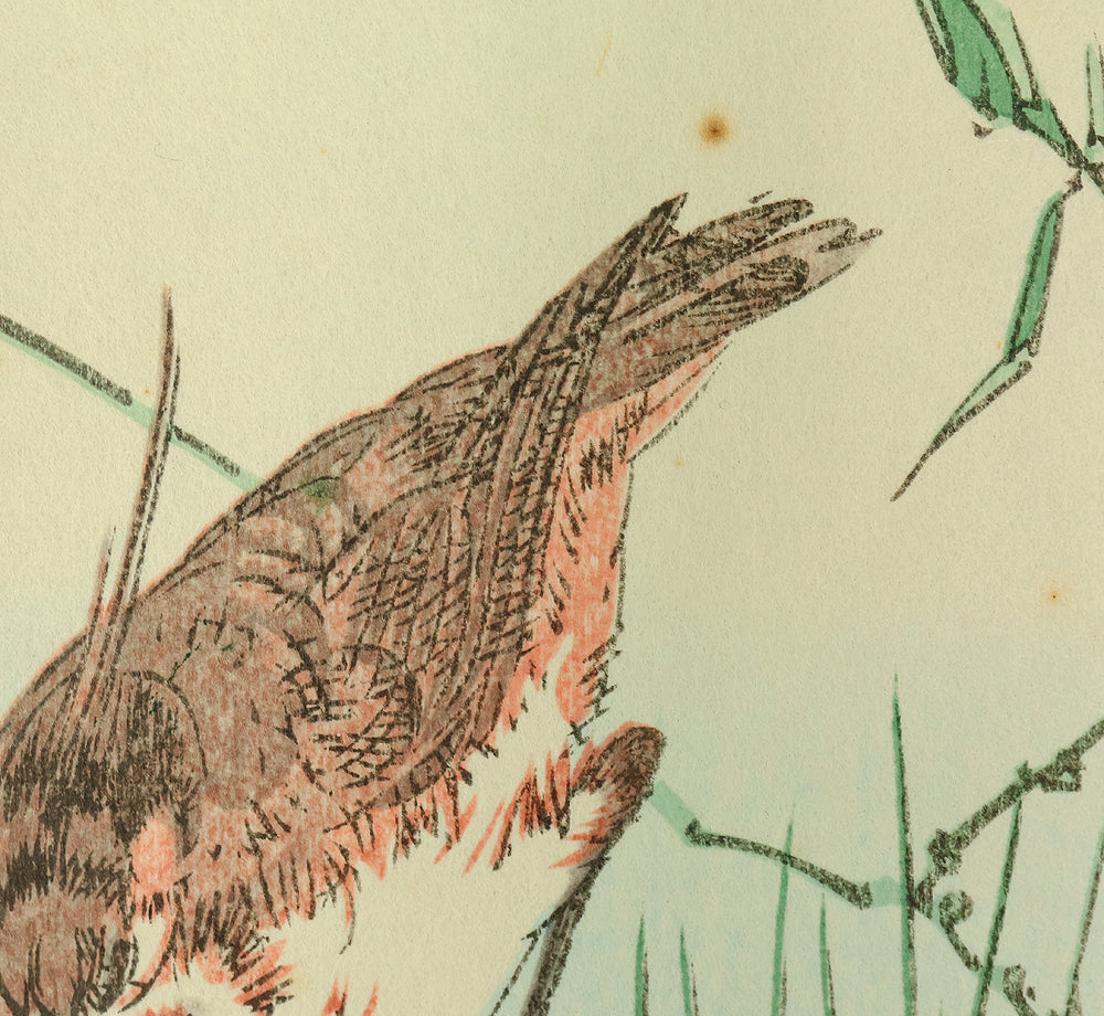 新村月荘 Niimura Gesso Japanese Woodblock Print (Reprint) Dianthus and Plover - 136/450 OW395 - Image 8