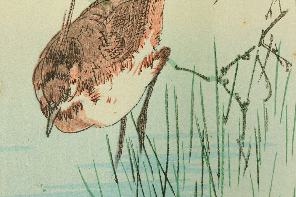 新村月荘 Niimura Gesso Japanese Woodblock Print (Reprint) Dianthus and Plover - 136/450 OW395 - Image 9