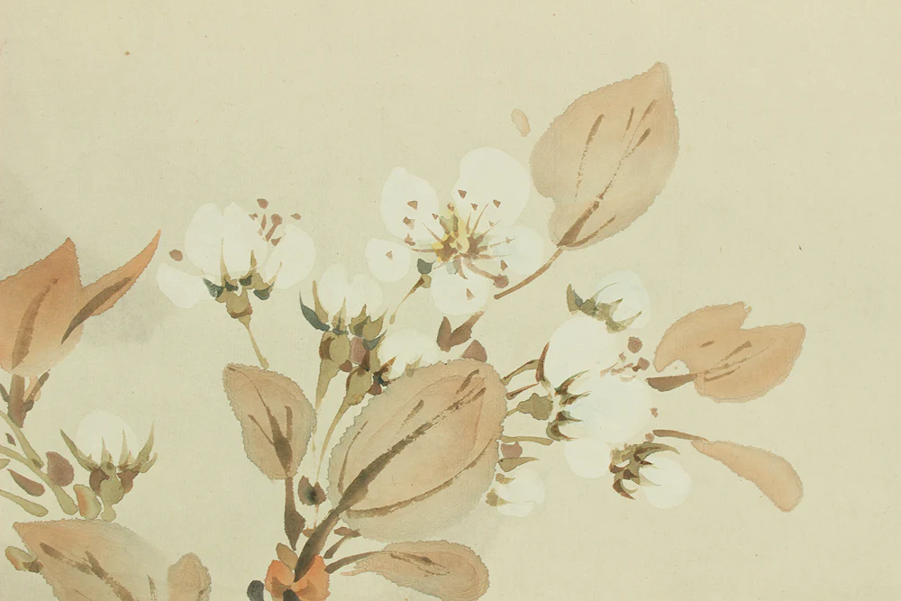 野口幽谷 Noguchi Yukoku (1825-1898) Japanese art kakejiku kakemono wall hanging scroll / Moon and Cherry Blossoms with Box RD730 - Image 10