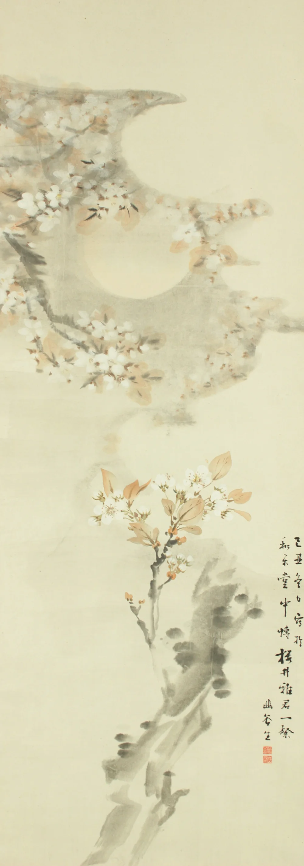 野口幽谷 Noguchi Yukoku (1825-1898) Japanese art kakejiku kakemono wall hanging scroll / Moon and Cherry Blossoms with Box RD730 - Image 4