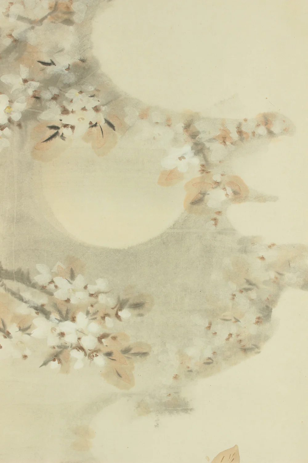野口幽谷 Noguchi Yukoku (1825-1898) Japanese art kakejiku kakemono wall hanging scroll / Moon and Cherry Blossoms with Box RD730 - Image 7
