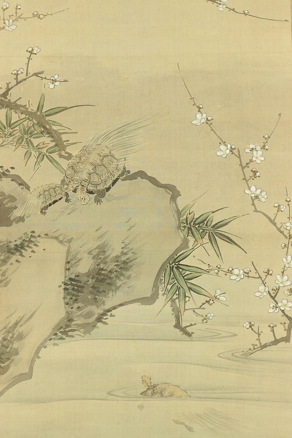 大庭学僊 Ōba Gakusen (1820-1899) Japanese antique art Paired kakejiku kakemono wall hanging scrolls / Cranes and Turtles Celebrating Longevity - The Symbol of Good Fortune, Pine, Bamboo, and Plum with Box RC752 - Image 20