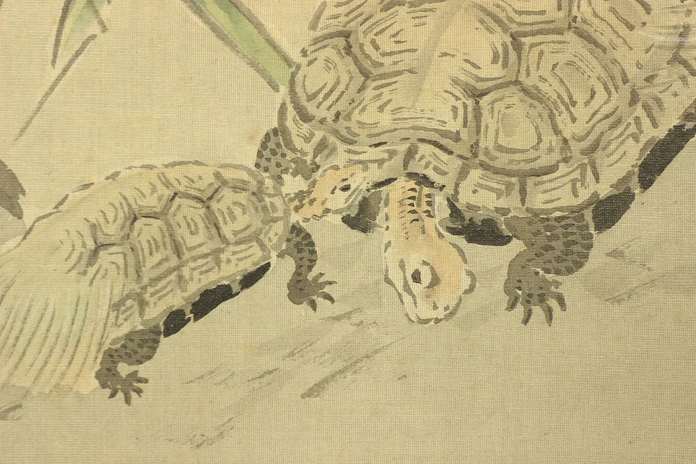 大庭学僊 Ōba Gakusen (1820-1899) Japanese antique art Paired kakejiku kakemono wall hanging scrolls / Cranes and Turtles Celebrating Longevity - The Symbol of Good Fortune, Pine, Bamboo, and Plum with Box RC752 - Image 23