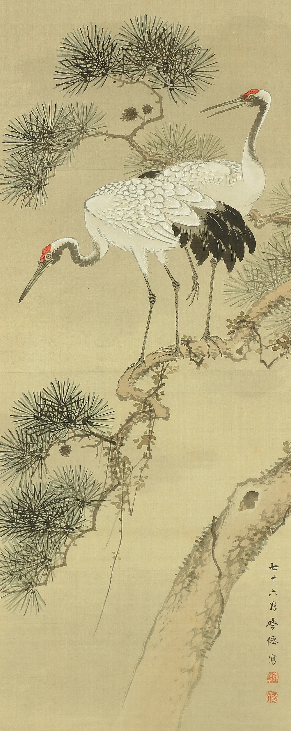 大庭学僊 Ōba Gakusen (1820-1899) Japanese antique art Paired kakejiku kakemono wall hanging scrolls / Cranes and Turtles Celebrating Longevity - The Symbol of Good Fortune, Pine, Bamboo, and Plum with Box RC752 - Image 4