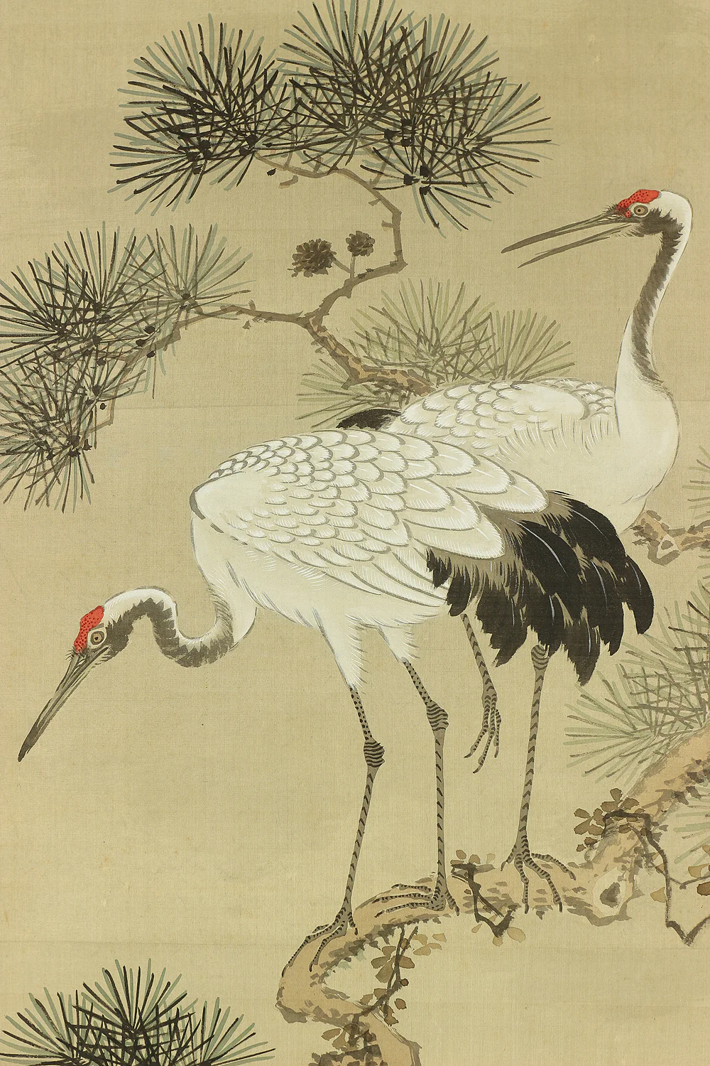 大庭学僊 Ōba Gakusen (1820-1899) Japanese antique art Paired kakejiku kakemono wall hanging scrolls / Cranes and Turtles Celebrating Longevity - The Symbol of Good Fortune, Pine, Bamboo, and Plum with Box RC752 - Image 5